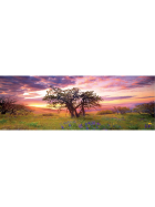 Puzzle Oak Tree - Panorama Puzzle, 2000 Teile