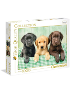 Puzzle 3 Labradore, 1000 Teile
