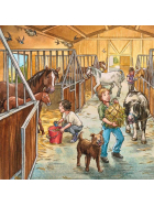 Puzzle Mein Reiterhof, 3 x 49 Teile