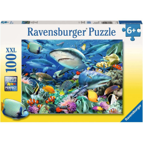 Ravensburger Riff der Haie