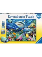 Ravensburger Riff der Haie