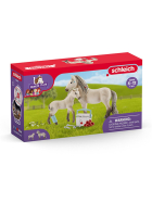 Schleich Set Erste Hilfe + Pferde Isländer