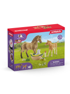 Schleich Set Tierbaby - Pflege & Pferde Quarter Horse