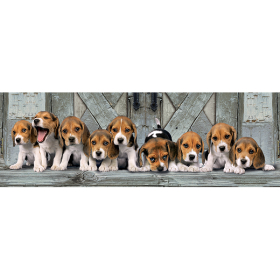 Clementoni Panorama Hunde Beagles, 1000 Teile