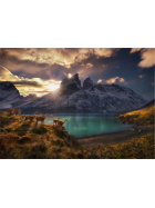 Puzzle Guanacos Standard, 1000 Teile
