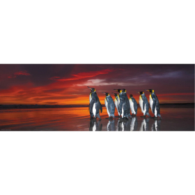 Puzzle King Penguins Panorama, 1000 Teile