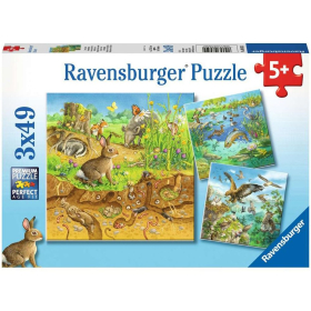 Ravensburger Tiere in ihren Lebensräumen