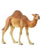 Schleich Dromedar