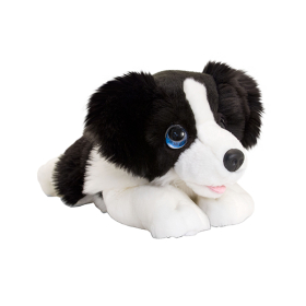 Keel Hund Border Collie, 32 cm