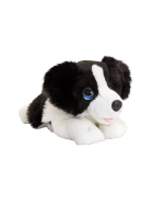 Keel Hund Border Collie, 32 cm