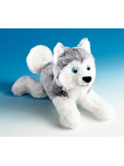 Schaffer-Magnetics Polarhund Husky