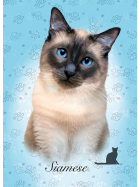 Educa Siamese 100 Teile (MQ2)
