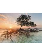Puzzle Red Mangrove Standard, 1000 Teile