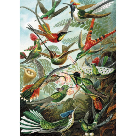 Piatnik Haeckel - Kolibris 1000 T