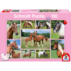 Puzzle Pferdetr&auml;ume, 150 Teile
