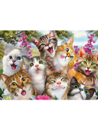 Puzzle Katzen Selfie, 500 Teile