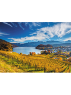 Puzzle Weinberge, 2000 Teile