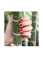 Boho Nail Polish revolution