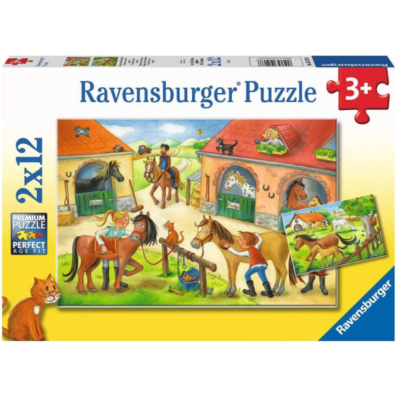 Ravensburger Ferien auf dem Pferdehof