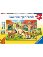 Ravensburger Ferien auf dem Pferdehof