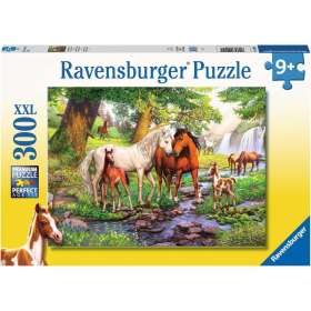 Ravensburger Wildpferde am Fluss