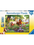 Ravensburger Wildpferde am Fluss