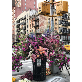 Ravensburger Flowers in New York