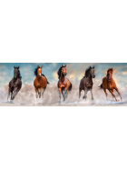 Clementoni Panorama Pferde 1000tlg
