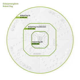 Br&auml;ndi Dog 4er Set in der Schachtel