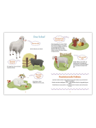 Alleovs WiBuKi Wissensbuch für Kinder Die Bauernhoftiere