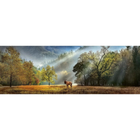 Puzzle Morning Salute Panorama, 1000 Teile