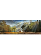 Puzzle Morning Salute Panorama, 1000 Teile