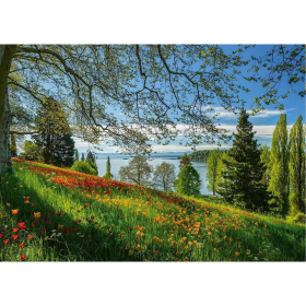 Puzzle Frühlingsallee zur Tulpenblüte, Insel...