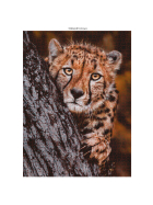 Ambassador Wildtier Familien 3x1000 Teile (Donal Boyd)