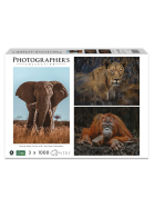 Ambassador Wildtiere Blickkontakt 3x1000 Teile (Donal Boyd)