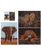 Ambassador Wildtiere Blickkontakt 3x1000 Teile (Donal Boyd)