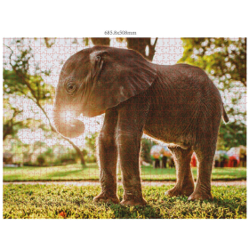 Ambassador Wildtiere Afrika 3x1000 Teile (Donal Boyd)