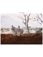 Ambassador Wildtiere Afrika 3x1000 Teile (Donal Boyd)
