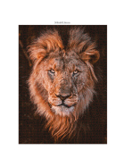 Ambassador Wildtiere Afrika 3x1000 Teile (Donal Boyd)