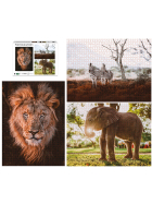 Ambassador Wildtiere Afrika 3x1000 Teile (Donal Boyd)