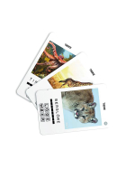 100 PICS Tiere (d)