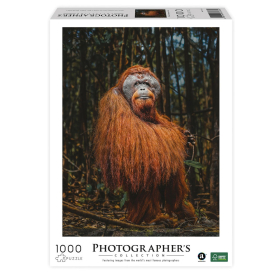 Ambassador Orang-Utan 1000 Teile (Donal Boyd)