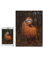 Ambassador Orang-Utan 1000 Teile (Donal Boyd)