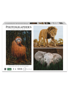 Ambassador Wildtiere 3x1000 Teile (Donal Boyd)