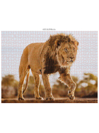 Ambassador Wildtiere 3x1000 Teile (Donal Boyd)