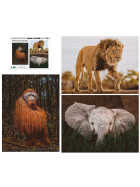 Ambassador Wildtiere 3x1000 Teile (Donal Boyd)