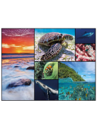 Ambassador Bodenpuzzle Ozean 48 Teile