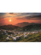 Puzzle Sheep and Volcanoes Standard, 1000 Teile