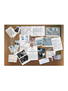Origames Meutre De Sang Froid (f)