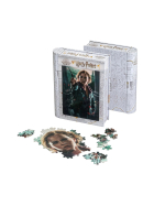 Philos 3D Puzzle Harry Potter Hermine Granger in Sammlerbox, 300 Teile